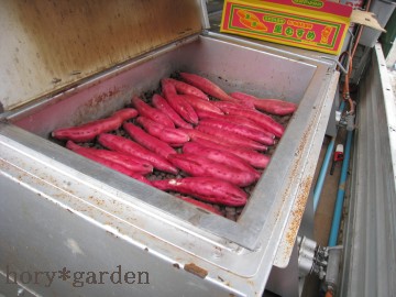 �Ԃ����Y��ȐF���Ă��ˁ�