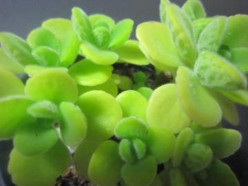 �����F�������Ă��Ă邩������������Ȃ��ƁE�E�E