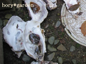 ���炳�꓀���āc�c�c�ǂ������H�H�H