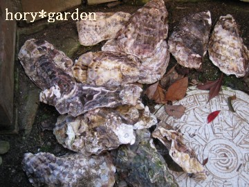 �����������ȍ���́c�������܂���B