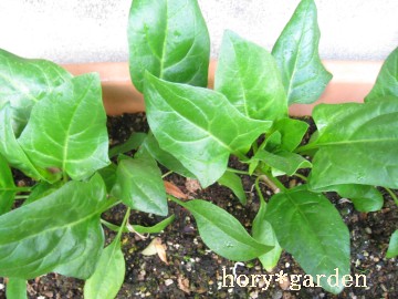 �Ǎۂ̃v�����^�[�̕�������ǂ��c�g�����̂��Ȃ��H