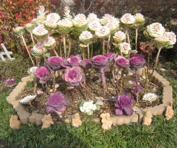 �k�������t�{�^���̎p���ʔ����ł��ˁB