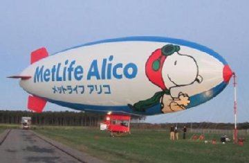 ���ꂪ���̔�s�D�̂��p�ł��B