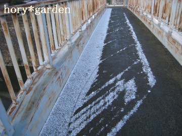 ���̃l�[���̏��͗Z���ĂȂ��c�����I