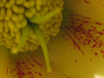 ���ɓ������āc���������F�悭������I�I�I���C�F��Ȃ��I�I�I�i�ɂ�����j