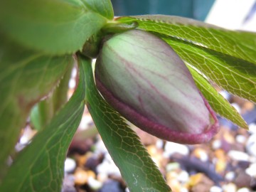 ��������Ɓc���ǂ߂��Ă��銴���H�H�H