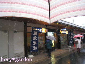 �ꉞ�A�J����Ȃ��A�������������Ă�I