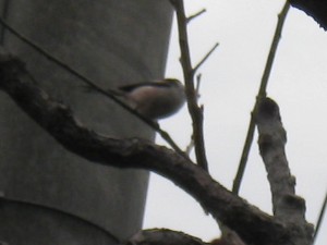 �����͔����āA�K����������ƒ��߁B