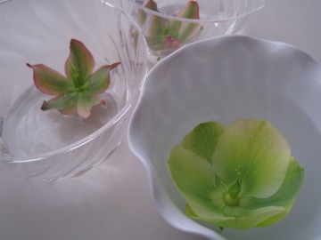 ���N���t���[�g�A������ǂ�ǂ񑝂�����