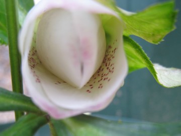 ���Ƃ������.���Ƃ�����ƁB