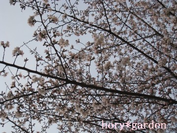 �炢�Ă����炢�Ă����A���������������Ȃ����ˁI