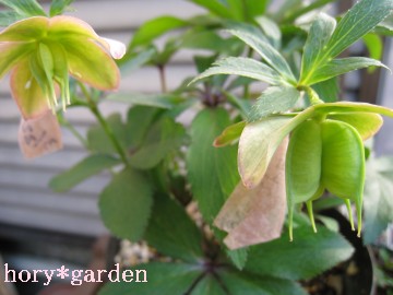 �A�g���撣��`�I