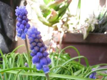 ���̑������񂹒��������Ȃ��B