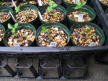 ���x���A���͗����ɂ��F�X�����Ă���Ă��܂��I