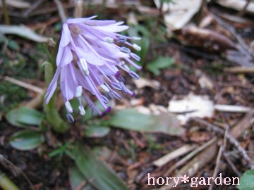 ׂ܂Ă邩ƂcȂ̂CɂȂi΁j