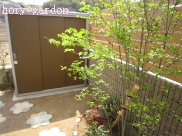 �����A�ڎʃ��[�h�ɂȂ��Ă܂����i���j