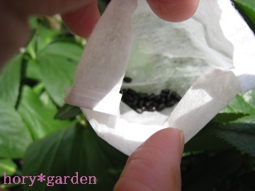 �������I�������X�A�務��i�L���r�A�݂����Ɍ���Ȃ��́I�j