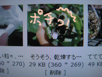 �摜�̂����O�����鎞���A�ʐ^���ۂ�����ł��I