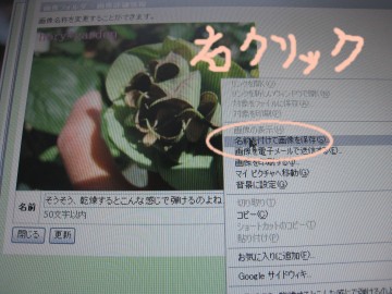 ���́A���O�t���ėV��ł���̂ŁA���C�Â��̎��͌��Ă˂���