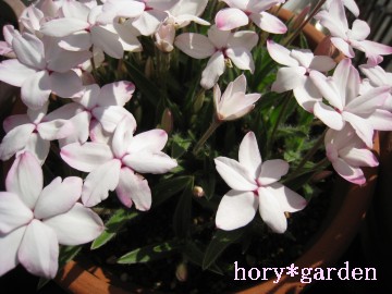 Ƀsg킷ƁA̗͂΂ÂÂȂȂI