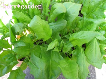 łƎvcT͂`CĂ悤ĎvB