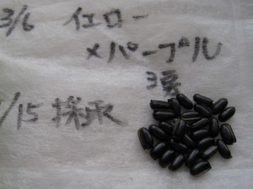 CG[~p[v@͂܂낭돕BI