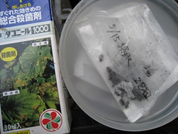 _Rj[ŎEێEہe͂˂cVN̒ʋ̒i΁j