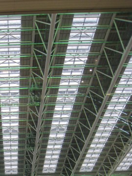 mԂɂȂɑ傫Ȏ{݂̂ˁI