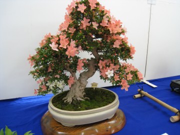 V@܂ɈႤԐF̂ƂANZgI