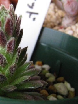 ق̈TԑO炢܂ł́Aʂc炭́H炢Ⴄ́Hā```I