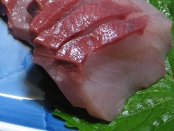 {YȍłIВAJ̏肢ł˂I