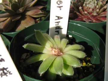 キȂ肩ɋCtėǂc̎qSɘAĂꂽB