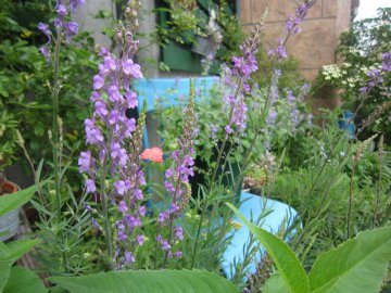 <image id="264807" />