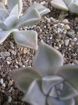 @Ƃx̎ɂāAZɂ܂i΁j肷