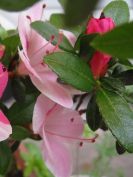 Ⴄ}ł́AZnԂ炫IԌ|Lx킟iQj