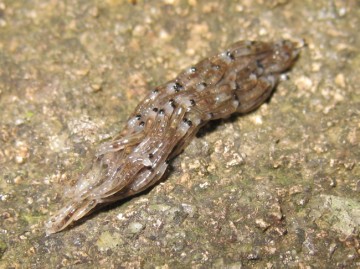 ۂ͓ƁACǁcIȂłȂ́HHH