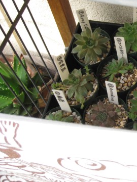 IIIׂ̕sƗtĂĂ邩i΁j