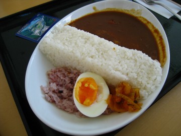 M̔g͗lȂ΁cƂʖځH܂B