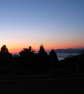 ؁X̉̔̓CJނ̋΂ł傤H