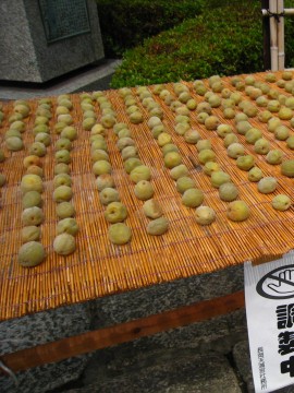 hg^b`cłVVG肽Ȃ̂͂ȂH