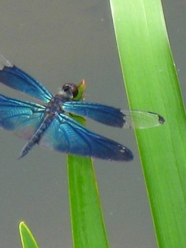 ̐Ɏ䂩킟A̒rɋ̂ˁHCtȂI