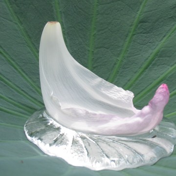 قƁA₵A̋ʁBfG