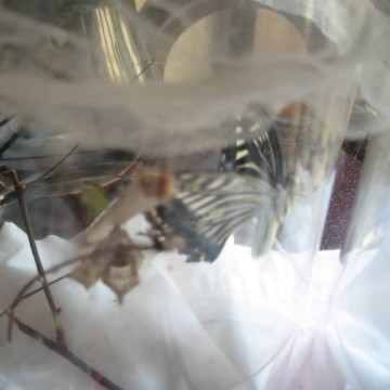 IIII̓匂ɑĂȂˁIII