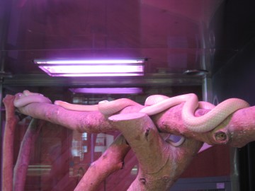 叫̃ArmȂ񂾂āBYłI