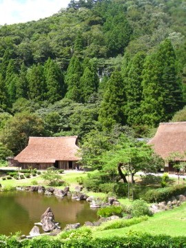 qȂ̂Ō̉aႦ܂łccOB