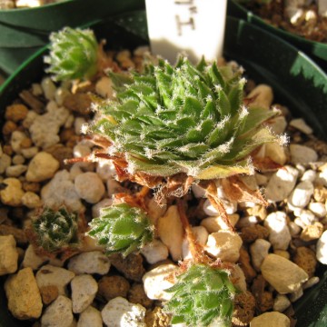 ̎qAl[ʂ̓ĂȂ񂾂Ȃc܂ACȂ悵I