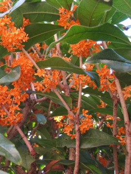 A炩cGcȂxƂł̂ŁAQɂȂȂ肻̂܂܂łi΁j