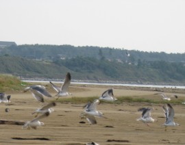 ĂpA܂܂邭ĉ񂾂ǂȂI