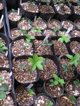 SO||bgiXbgjc\傫ꏊAB