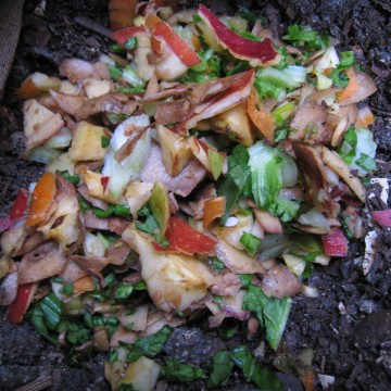 ͊̕{Ă܂IcIłIk낻뎞ȂIHI